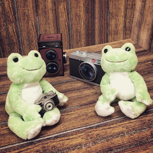 Meet your Posher, Little Froggie - Picture 2 of 2